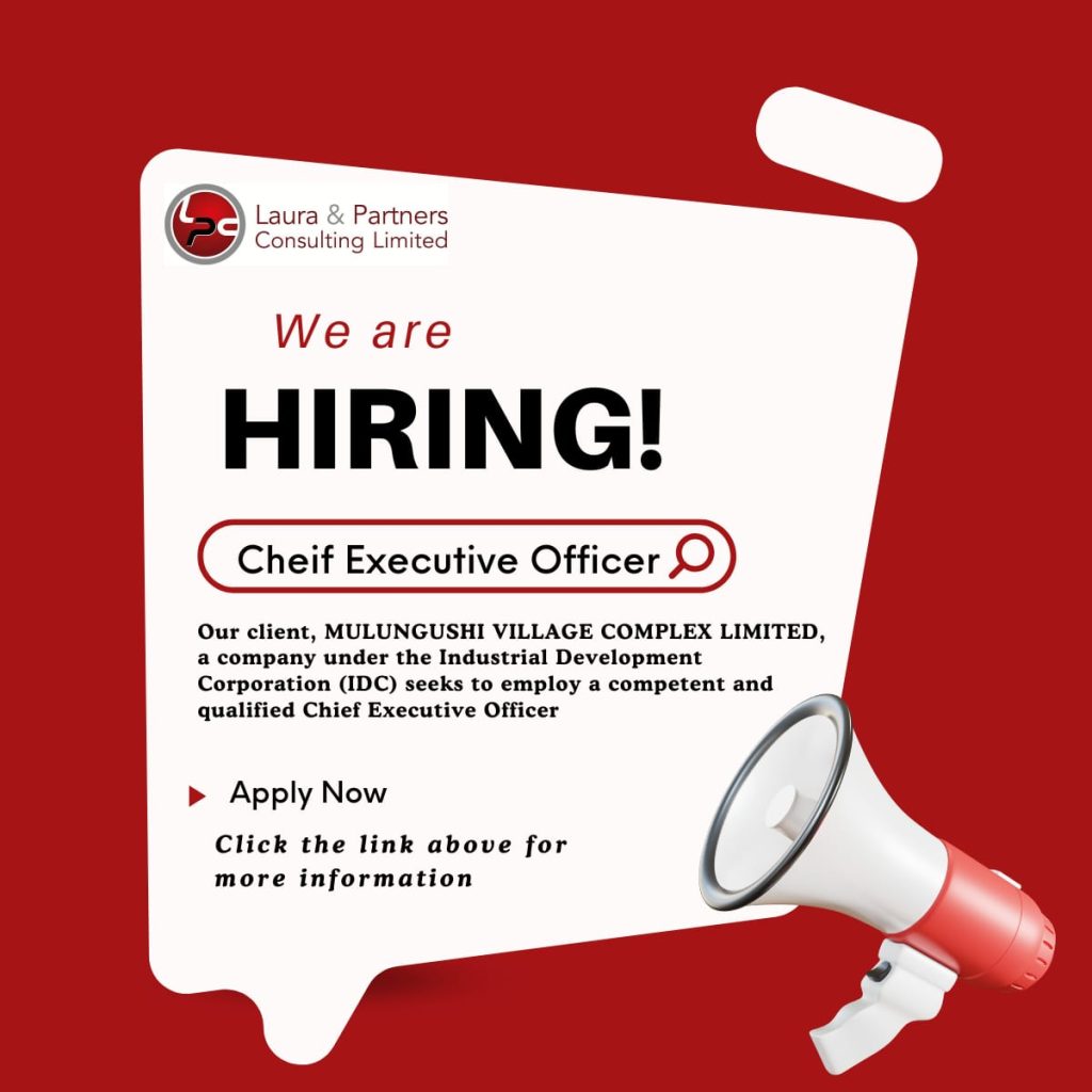 Chief Executive Officer - MULUNGUSHI VILLAGE COMPLEX LIMITED